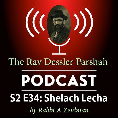Shelach: Strings Attached - What Tzitzis Are Really Saying