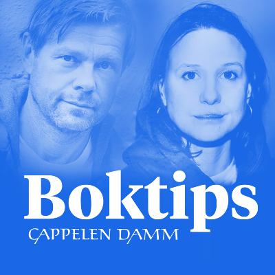 Jakten på en serieovergriper | Anne-Britt Harsem