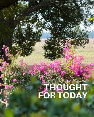 The Victory The Victory