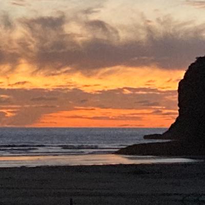 14/52 Thirteen Minute Update and New Music Video Consciousness