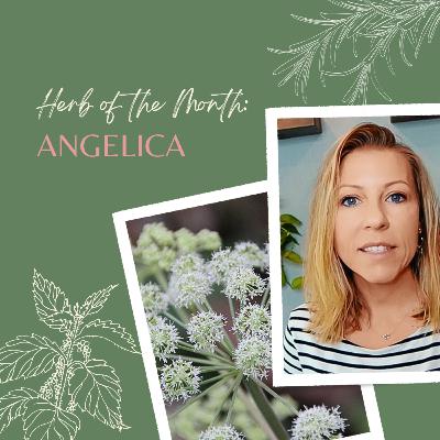 Herb of the Month: Angelica