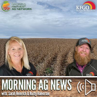 Morning Ag News, November 14, 2025: Chinese purchases of U.S. soybeans have stalled