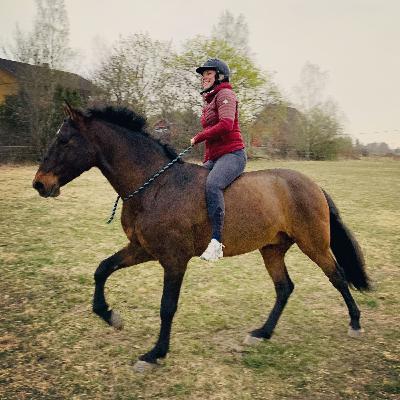 Häst för välmåendet - Helena Adler Häst för välmåendet - Helena Adler