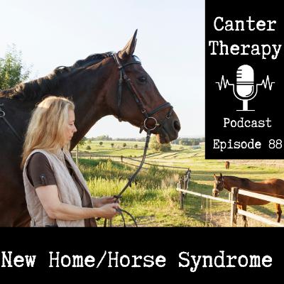 88: What is "New Home Syndrome"?