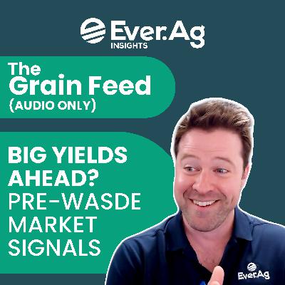 The Grain Feed (AUDIO ONLY): Big Yields Ahead? Pre-WASDE Market Signals - July 30, 2025