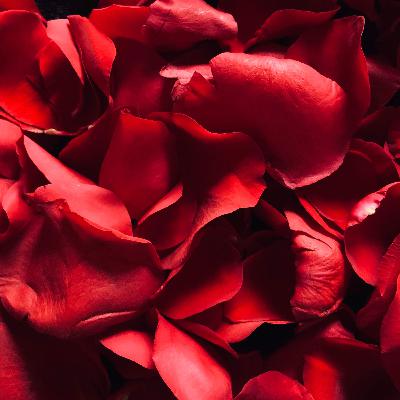 Masculine Devotion of Feminine Life-Force and the Sacred Feminine