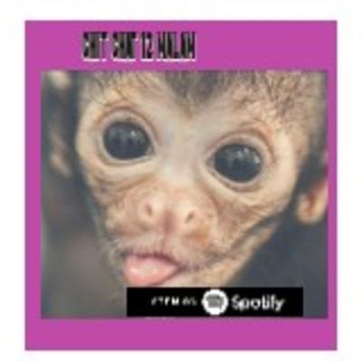 Chit Chat 12 Malam (Ep12) - Cinta Monyet Chit Chat 12 Malam (Ep12) - Cinta Monyet