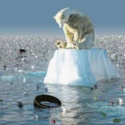 Proyecto del cambio climático