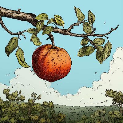 Season 2 - The Fruit of the Spirit