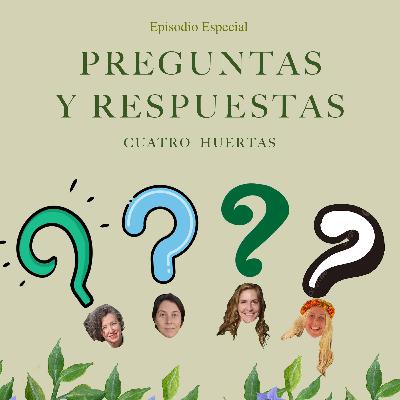 Episodio Especial | Preguntas Respuestas