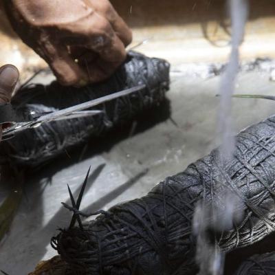 MMeets—UNTOLD: Every Living Thing Talk 2 MMeets—UNTOLD: Every Living Thing Talk 2