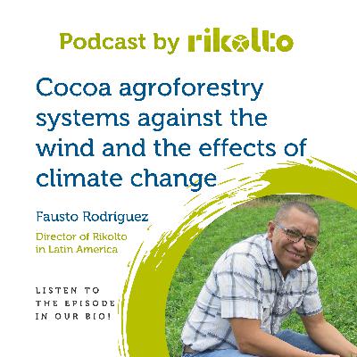 Cocoa agroforestry systems against the wind and the effects of climate change