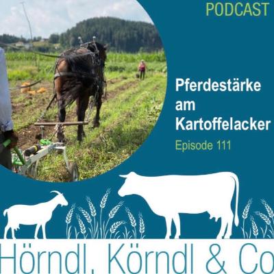 Episode 111: Pferdestärke(n) am Kartoffelacker Episode 111: Pferdestärke(n) am Kartoffelacker