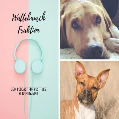 #97 WBY: Vorbereitung auf den Freilauf