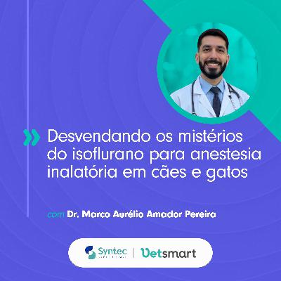 Desvendando os mistérios do isoflurano para anestesia inalatória em cães e gatos