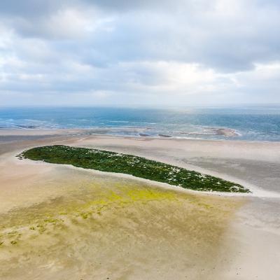 #41 Op een onbewoond eiland Richel #41 Op een onbewoond eiland Richel