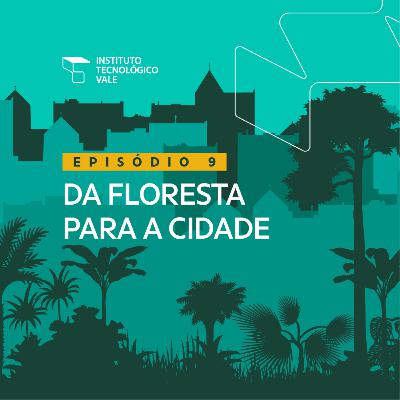 Da floresta para a cidade