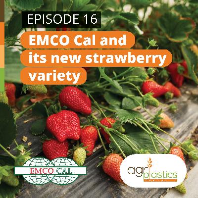 Emco Cal and its new strawberry variety