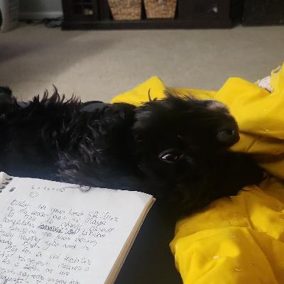 Before we agree to 2024, we all need to see the terms and conditions.