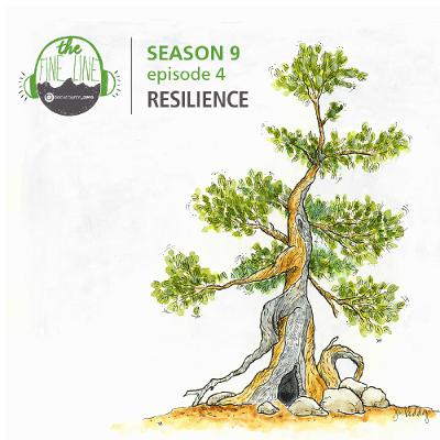 63. Resilience