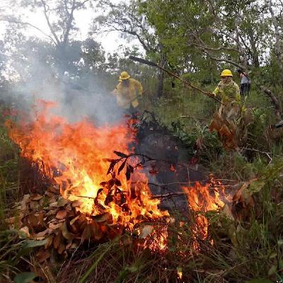 Indigenous women fighting fires in the Amazon