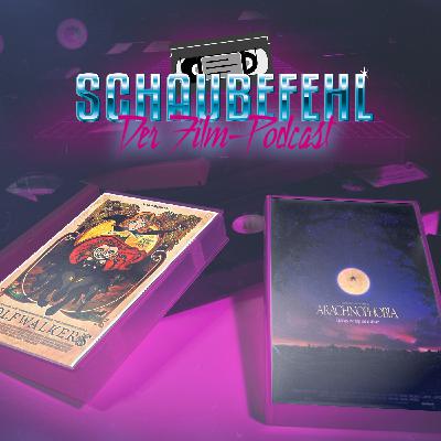 #070 - Wolfsspinnen