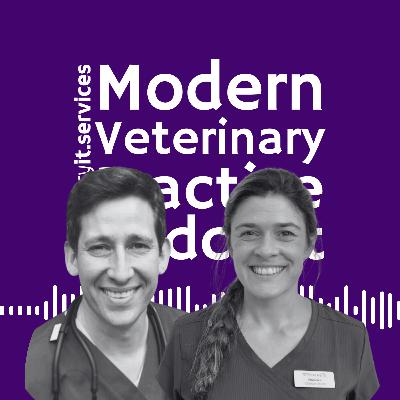 Culture, Care, and the Future of Veterinary Practice - Episode 48