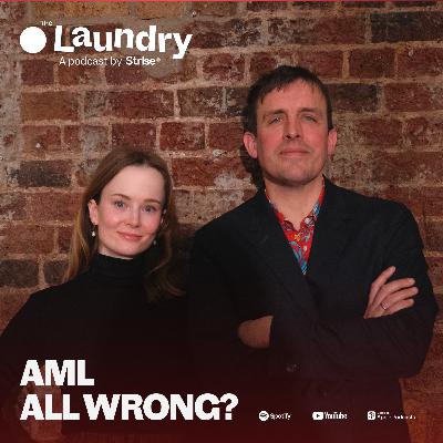 E151: Have we got anti-money laundering all wrong?