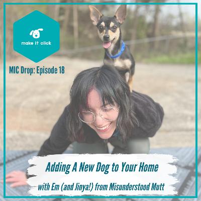Adding A New Dog To Your Home with Em Fitzpatrick
