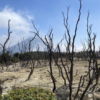 Dipukul Mundur-Fiersa Besari