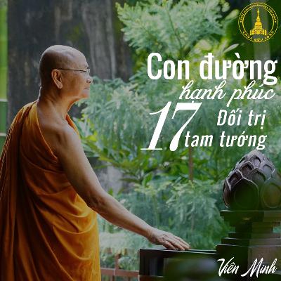 #17 Đối trị tam tướng - Sách Con Đường Hạnh Phúc | Hòa Thượng Viên Minh