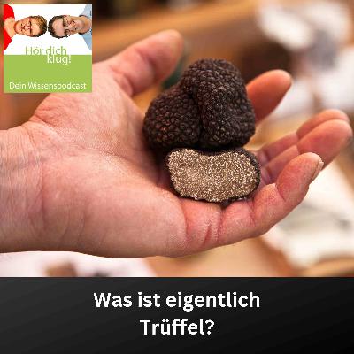 Was ist eigentlich Trüffel? Was ist eigentlich Trüffel?