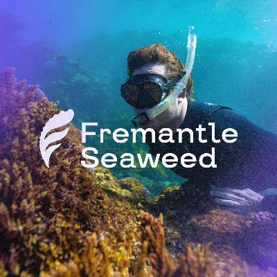 How Seaweed Could Decarbonise Cattle