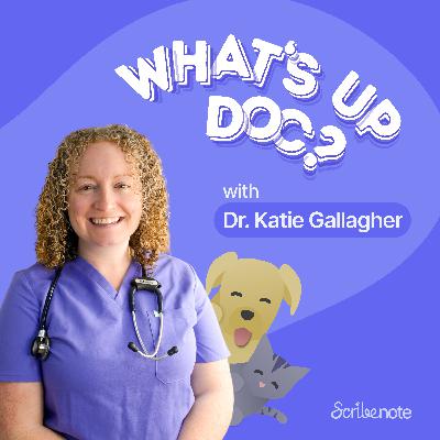 Puppy Myths, Shelter Realities & the Truth About Heartworm with Vet Tech Jenn Galvin