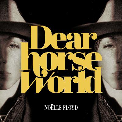 Introducing, Dear Horse World...