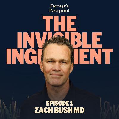 The Chemical Within: Glyphosate and Us with Zach Bush MD