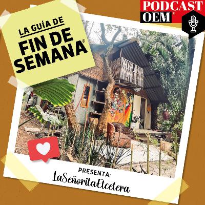 La historia del Huerto Roma Verde