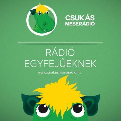 Esti mese: János diák (Benedek Elek)