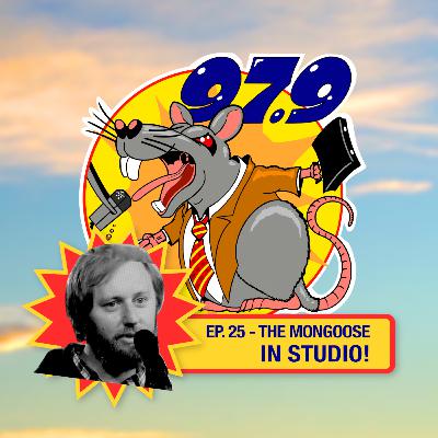 The Mongoose In Studio!