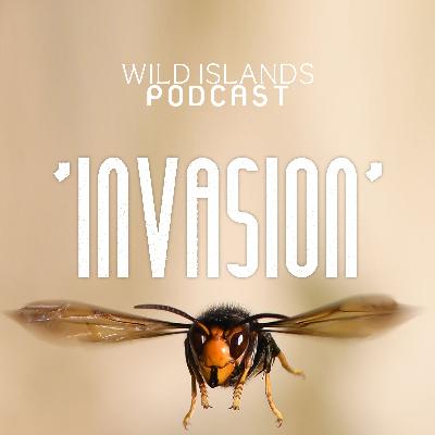 'INVASION' | Episode Six