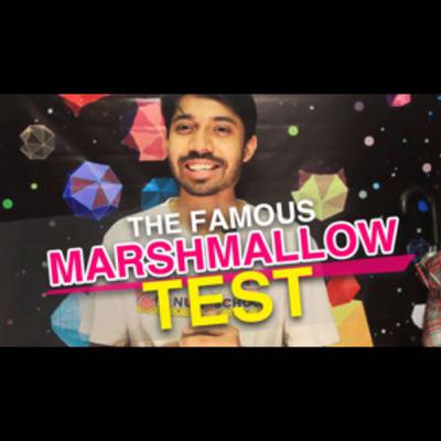 Marshmallow Test Explained - Instant Gratification