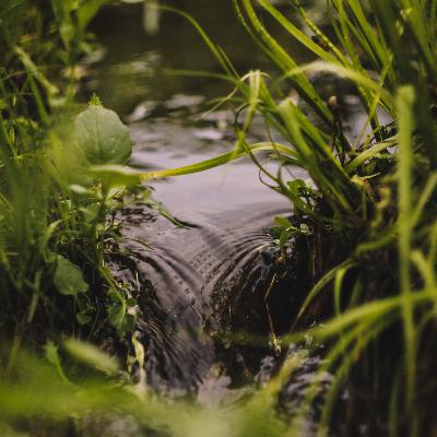 Nature Nomade 2024 - Poèmes au fil de l'eau