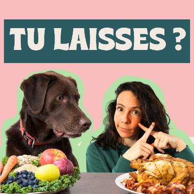 Le refus d'appât le plus utile dans l'éducation canine !