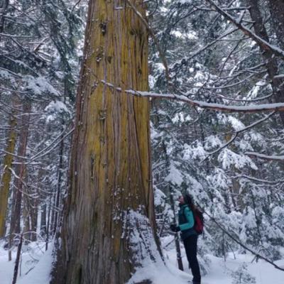 Episode 4: Lichens, moss, and forests with Ivy Evergreen