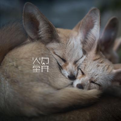 017 在阿尔及利亚生活两年是怎样一种体验（下）