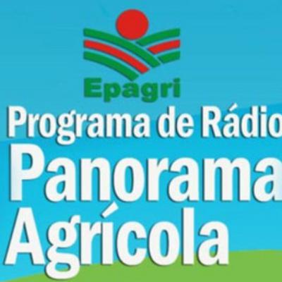 Boletim Especial: Seminário estadual comemora os 50 anos de pesquisa agropecuária na Epagri