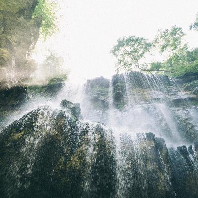 Nature Nomade 2024 - Survivre au Timor, chronique d'une chute