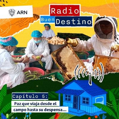 Paz que viaja desde el campo hasta su despensa Paz que viaja desde el campo hasta su despensa