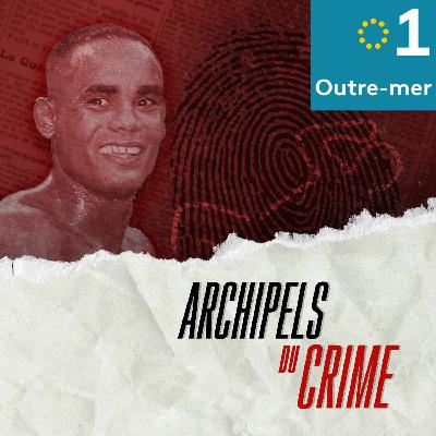 L'affaire Johnny Catherine ou la malédiction du lion