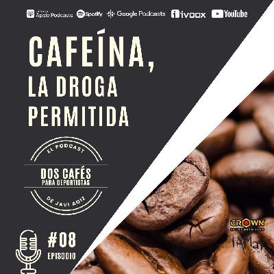 08 CAFEÍNA, LA DROGA PERMITIDA